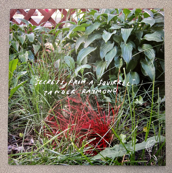 Zander Raymond - Secrets From A Squirrel - New LP Record 2023 Florabelle Vinyl - Chicago Experimental Electronic / Ambient