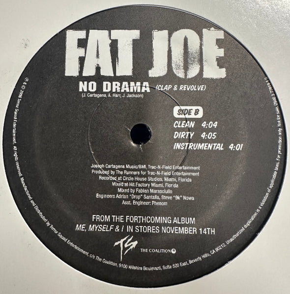 Fat Joe - Make It Rain / No Drama - Mint- 12" Single Record 2006 Terror Squad Virgin USA Promo Vinyl - Hip Hop - Shuga Records