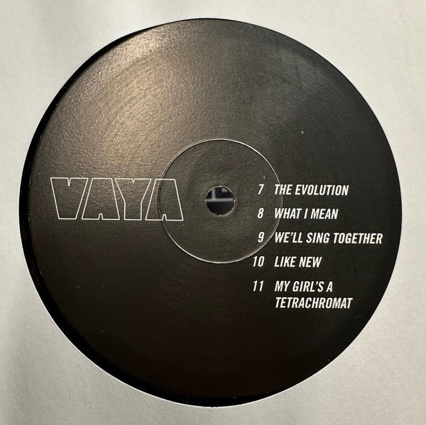 VAYA - VAYA - New (Generic Cover Version) LP Record 2014 CSC Chicago Singles Club Vinyl - Chicago Indie Rock / Art Rock / Punk