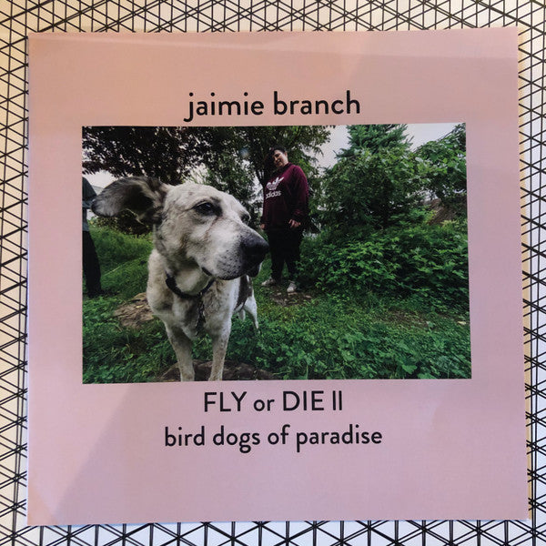 Jaimie Branch - Fly Or Die II - Mint- LP Record 2019 International Anthem USA Vinyl & Booklet - Chicago Jazz - Shuga Records