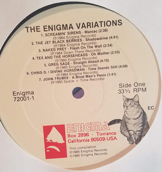 Various – The Enigma Variations - VG+ 2 LP Record 1985 Enigma USA Vinyl - Rock / Synth-pop / Punk