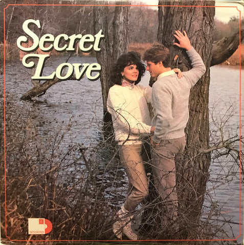 Various ‎– Secret Love - VG+ 4xLp Record 1987 USA Original Vinyl - Pop - Shuga Records