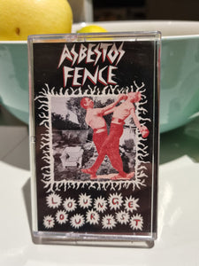 Asbestos Fence / Lounge Tourist - Split EP - New Cassette Another Rat Australia Tape & Sticker - Rock / Post-Punk / Hardcore