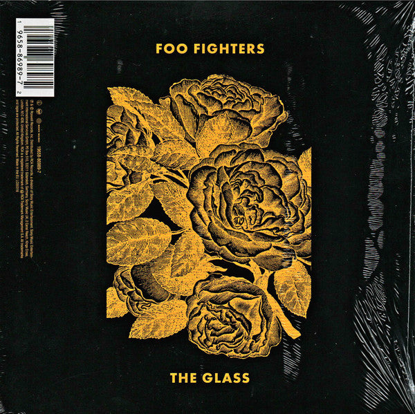 H.E.R.  / Foo Fighters - The Glass - New 7" Single Record 2023 Roswell Sony Vinyl - Rock / Pop / R&B