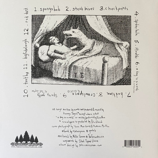 billy woods & Kenny Segal - Hiding Places (2019) - New LP Record 2024 Backwoodz Studioz Rhymesayers Entertainment Vinyl - Hip Hop - Shuga Records