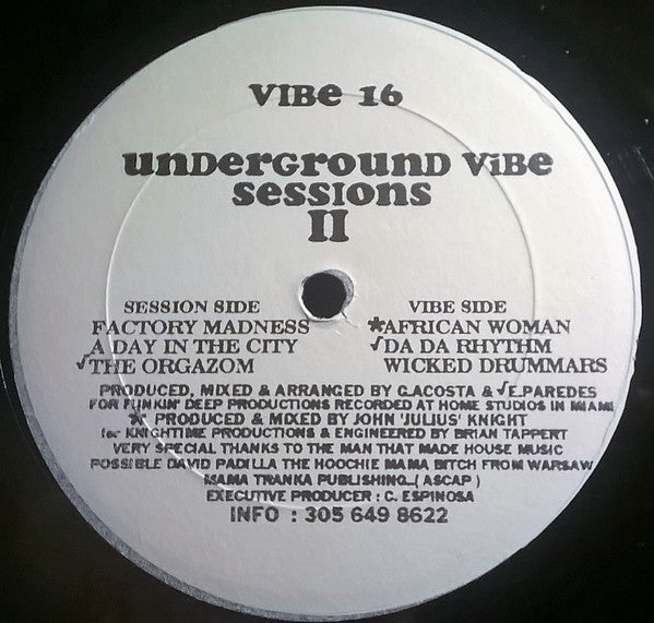 Various - Underground Vibe Sessions II - VG+ 12" Single Record 1994 Vibe USA Vinyl - House / Tribal House / Deep House - Shuga Records