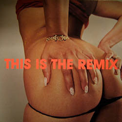 Spank Rock - This Is The Remix - Mint- 12" Single Record 2005 Money Studies USA Vinyl - Electro / Hip Hop / Bass Music