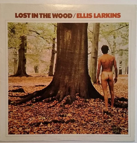 Ellis Larkins – Lost In The Wood - LP Record 1970 Stanyan USA Vinyl - Jazz