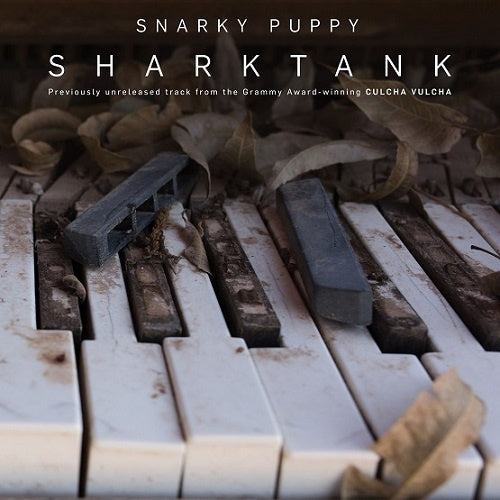 Snarky Puppy Sharktank New Vinyl 2018 GroundUP Record Store