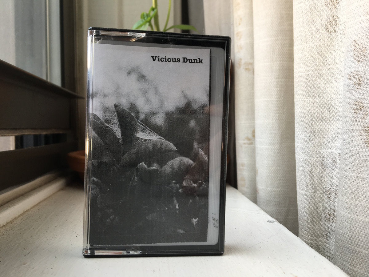 Vicious Dunk - Vicious Dunks - New Cassette 2019 Preserve Records USA Tape - Indie Rock - Shuga Records