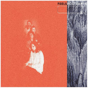 Feels - Post Earth - New Vinyl Lp 2019 Wichita Recordings Red Vinyl with Newsprint Poster Zine and Download - Rock / Punk