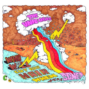 The Unicorns – Who Will Cut Our Hair When We're Gone? (2003) - New LP Record 2014 Caterpillar Vinyl & Download - Indie Rock / Lo-Fi - Shuga Records