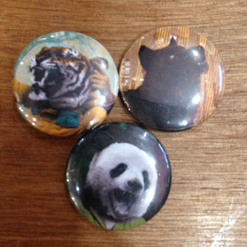 1" Buttons (3 for 1) - Shuga Records