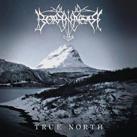 Borknagar - True North - New 2019 Record 2LP Limited Edition 180 gram Metallic Silver Vinyl - Black Metal / Avantgarde - Shuga Records