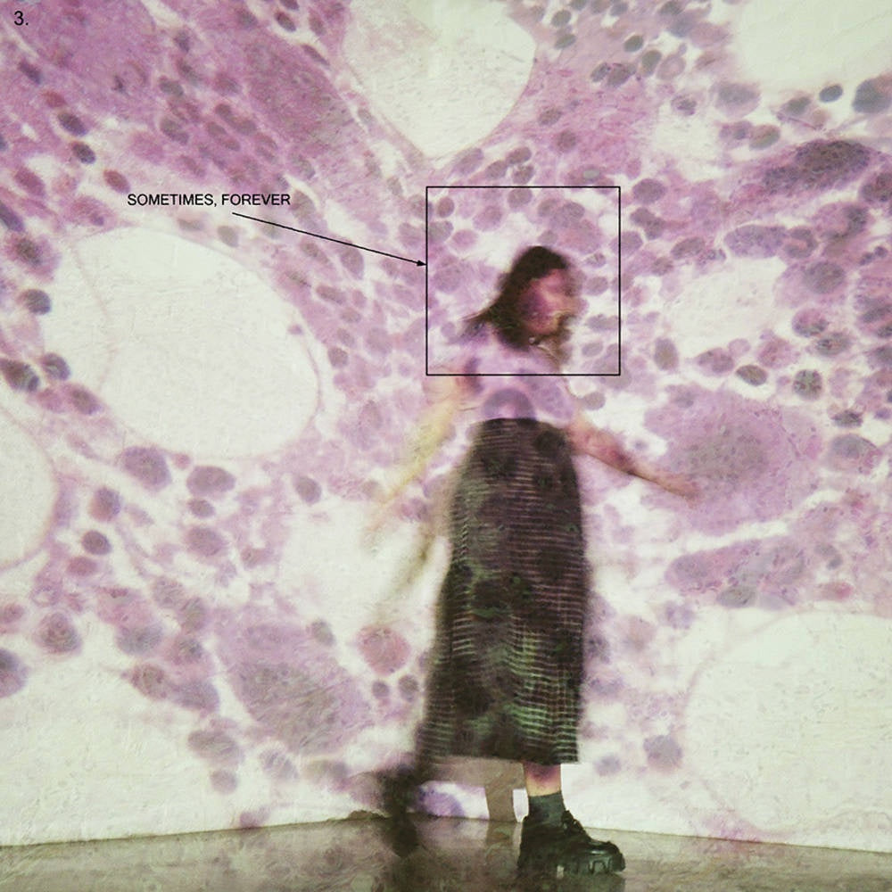 Soccer Mommy - Sometimes, Forever - New LP Record 2022 Loma Vista Pink & Black Splatter Vinyl - Pop / Indie Rock