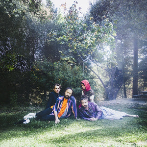 Big Thief - U.F.O.F. - New LP Record 2019 4AD USA Vinyl & Download - Indie Rock / Folk Rock - Shuga Records