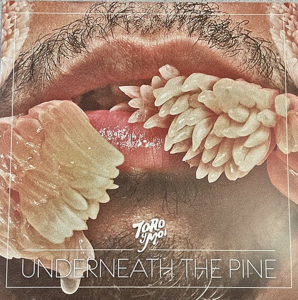 Toro Y Moi ‎– Underneath The Pine (2011) - New LP Record 2021 Carpark USA Desert Sun Splatter Vinyl & Download - Synth-pop / Chillwave - Shuga Records