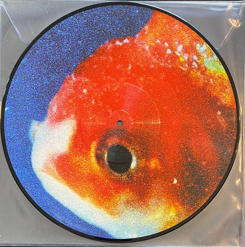 Vince Staples – Big Fish Theory - Mint- 2 LP Record 2017 Urban Outfitters Exclusive Def Jam Picture Disc Vinyl - Hip Ho