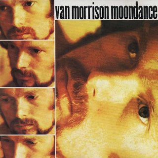 Van Morrison – Moondance (1970) - VG+ LP Record 1973 Warner USA Vinyl - Rock / R&B / Classic Rock - Shuga Records