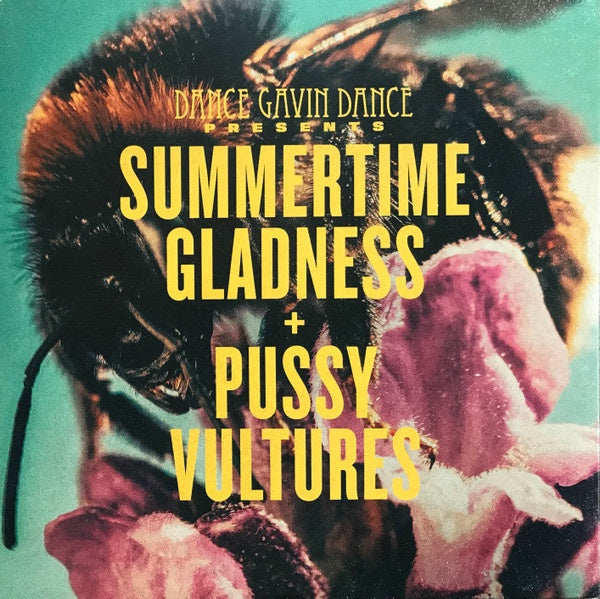 Dance Gavin Dance – Summertime Gladness/Pussy Vultures - Mint- 7