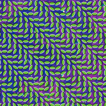 Animal Collective - Merriweather Post Pavilion - New 2 Lp Record 2009 Domino USA 180 Gram Vinyl & Download - Psychedelic Rock / Indie Rock / Experimental - Shuga Records