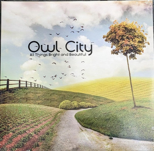 Owl City All Things Bright And outlet Beautiful Vinyl + Signed Lithographs