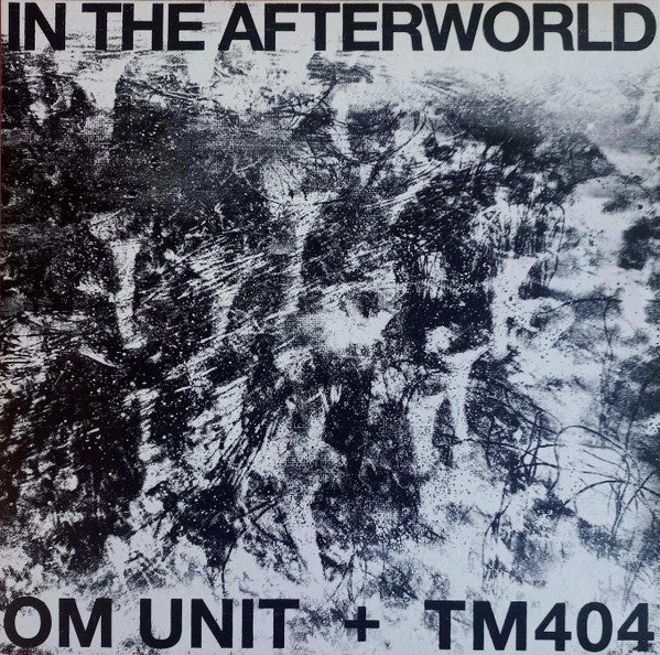 Om Unit + TM404 – In The Afterworld - NewLP Record 2023 Acid Test Vinyl -  Electronic / Acid / Dub