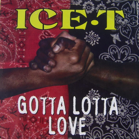 Ice-T – Gotta Lotta Love - VG+ 12" Single Record 1993 Sire USA Vinyl - Hip Hop