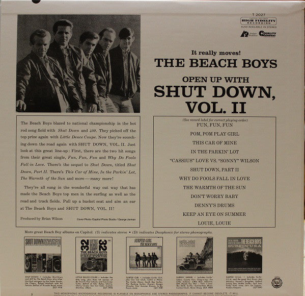 Beach boy selling record lot