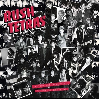 Bush Tetras - Rhythm and Paranoia: The Best of Bush Tetras - New 3 LP Record Box Set 2021 Wharf Cat 180 Gram Vinyl & Book - No Wave / Post Punk - Shuga Records