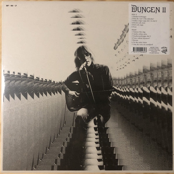 Dungen ‎– II (2002) - New LP Record 2021 Busy Bee Sweden Import Vinyl - Psychedelic Rock / Folk Rock - Shuga Records