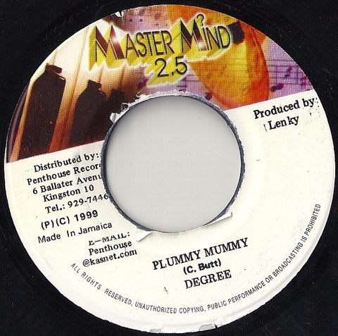 Degree - Plummy Mummy / Lenky - Z2010 - VG+ 7" Single 45rpm 1999 Mater Mind 2.5 Jamaica - Reggae