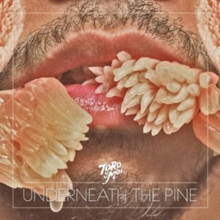 Toro Y Moi - Underneath the Pine - New LP Record 2011 Carpark Vinyl & Download - Indie Pop / Chillwave - Shuga Records